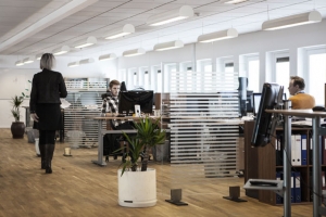 Vision: agile Selbstorganisation Vision: agile Selbstorganisation